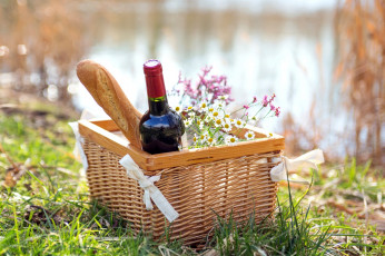 Картинка еда натюрморт вино корзина пикник ромашки багет бутылка красное природа