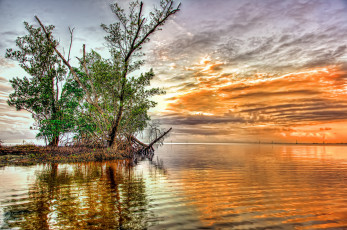 Картинка природа реки озера озеро островок дерево тучи