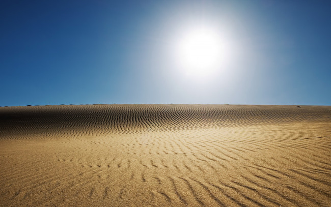 Обои картинки фото природа, пустыни, песок, пустыня, палящее, солнце