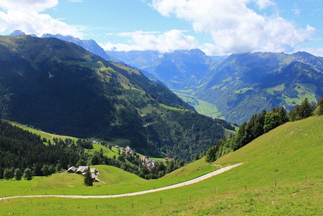 Обои картинки фото швейцария, природа, горы, плато, трава