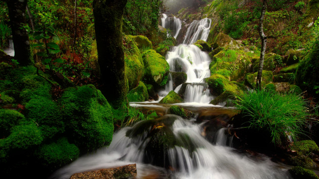 Обои картинки фото природа, водопады, лес, камни, поток