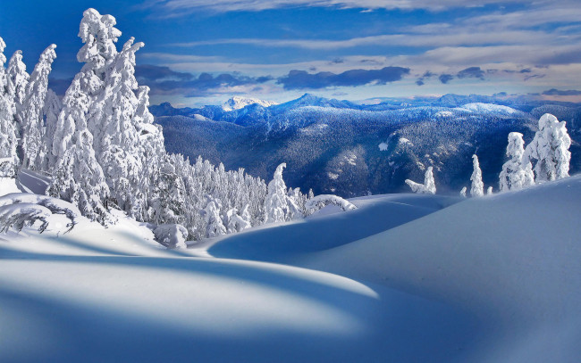 Обои картинки фото природа, зима, пейзаж, иней, деревья, лес, снег