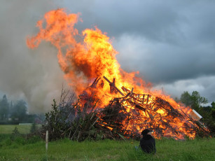 Картинка природа огонь трава человек костер