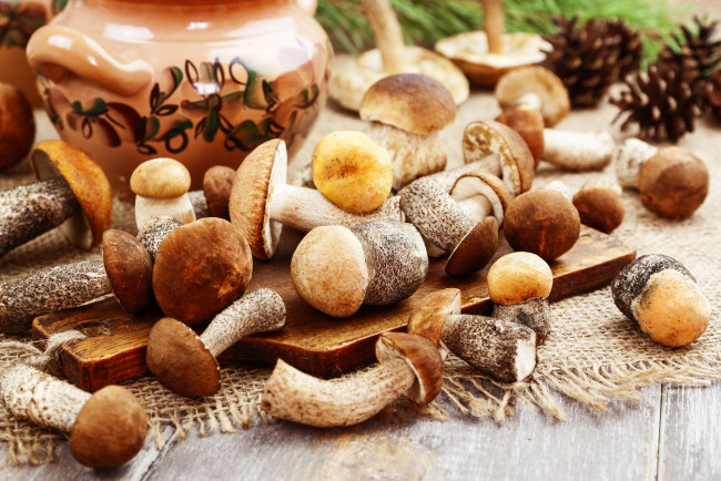 Обои картинки фото еда, грибы,  грибные блюда, шишки, лесные, свежие, боровики, подберезовики, подосиновики