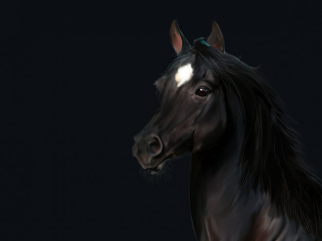 Обои картинки фото рисованные, животные, конь, лошадь