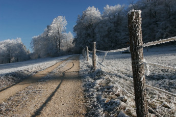 Картинка природа дороги зима дорога изгородь деревья иней