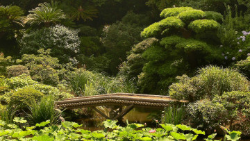 Картинка природа парк япония зелень сад мост