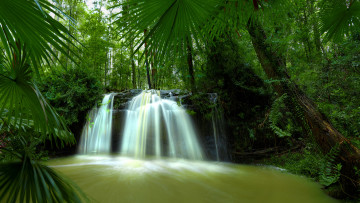 Картинка природа водопады джунгли река лес