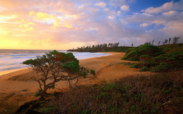 Картинка природа побережье берег море песок волны