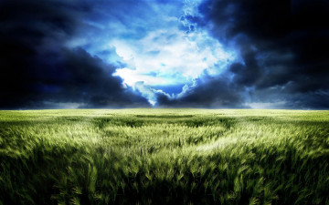 Картинка природа поля облака трава небо