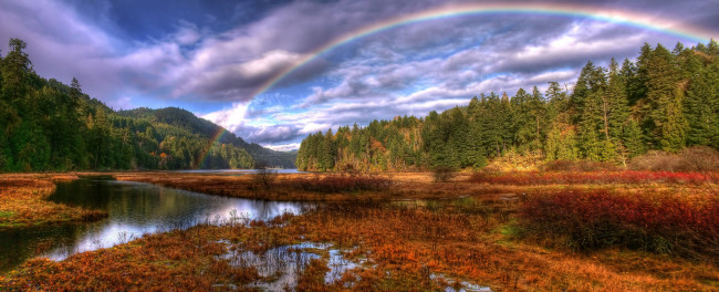 Обои картинки фото goldstream, park, outside, of, victoria, природа, радуга, rainbow