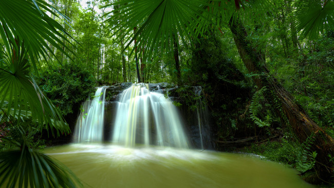 Обои картинки фото природа, водопады, джунгли, река, лес