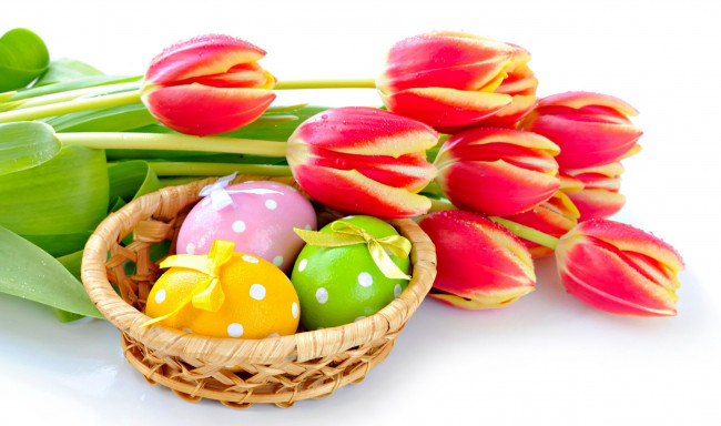 Обои картинки фото праздничные, пасха, тюльпаны, корзинка, яйца, бантики