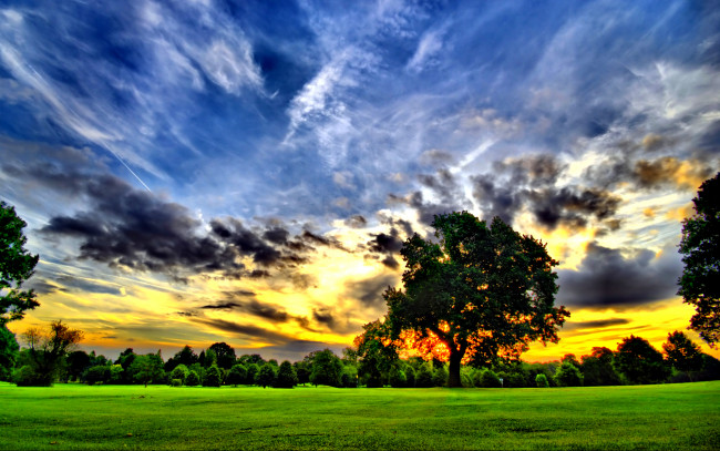 Обои картинки фото природа, деревья, закат, луг, облака, пейзаж