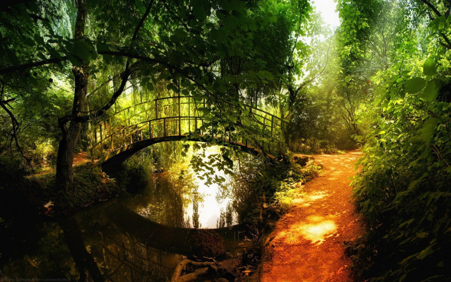Обои картинки фото природа, парк, мостик, деревья, тропинка, лес, река