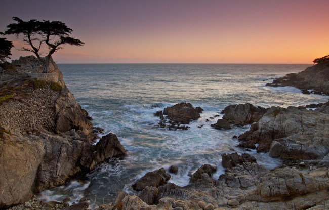 Обои картинки фото природа, побережье, море, скалы, камни, дерево, берег