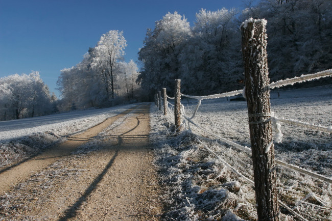Обои картинки фото природа, дороги, зима, дорога, изгородь, деревья, иней