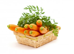 Картинка еда морковь зелень