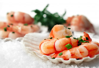 Картинка еда рыба +морепродукты +суши +роллы морепродукты лук креветки раковина