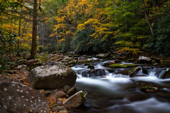 обоя big creek, природа, реки, озера, осень, камни, река, лес, краски