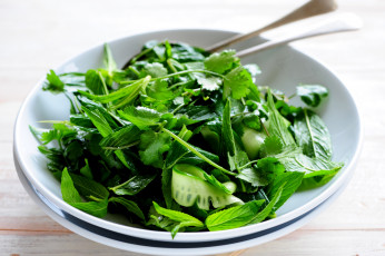 Картинка еда салаты +закуски зеленый салат