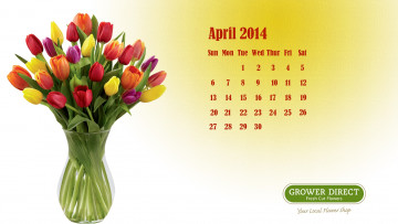 обоя календари, цветы, тюльпаны