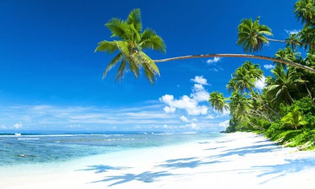 Обои картинки фото природа, тропики, солнце, море, берег, остров, океан, пляж, песок