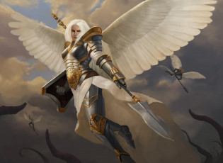 Картинка фэнтези ангелы девушка латы фон взгляд крылья копьё