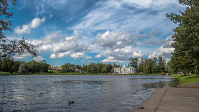 Обои картинки фото природа, парк, the, catherine, palace, st, petersburg, tsarskoye, selo