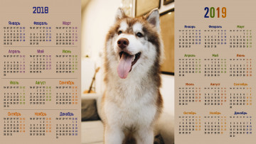 обоя календари, животные, морда, собака, взгляд
