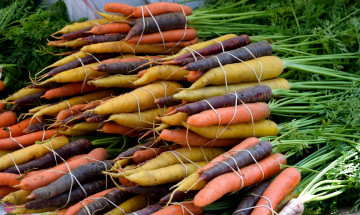 Картинка еда морковь ассорти корнеплоды