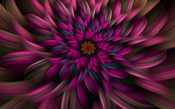 Картинка 3д+графика цветы+ flowers лепестки сердцевина цветок