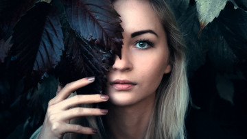 Картинка девушки -+лица +портреты блондинка лицо листья