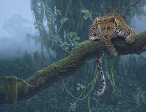 Картинка рисованные daniel smith леопард готовится к прыжку