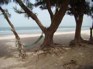 Картинка природа тропики гамак корни деревья песок море