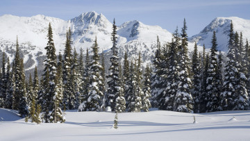 Картинка природа зима солнце снег лес тайга горы