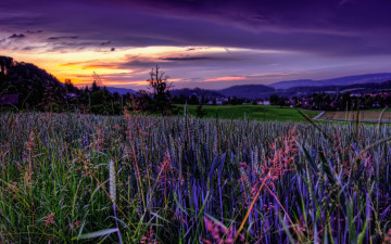 Картинка природа луга поле закат небо