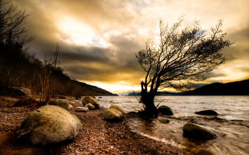 Картинка природа побережье река дерево камни мрак
