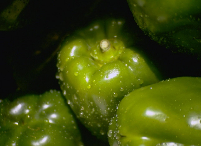 Обои картинки фото еда, перец, зеленый