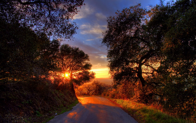 Обои картинки фото природа, дороги, лес, закат, дорога