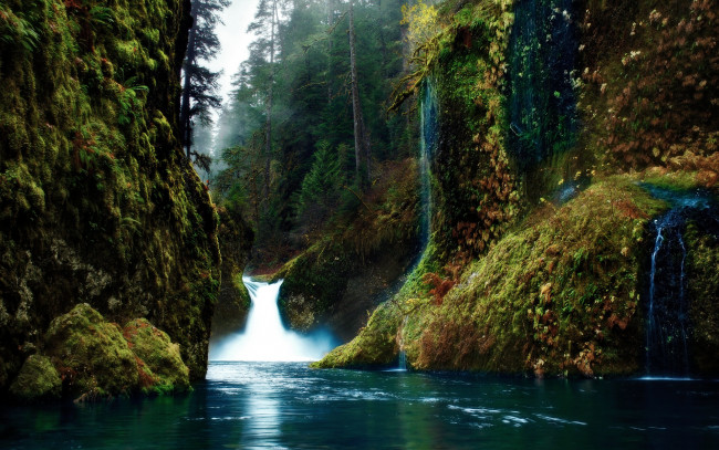 Обои картинки фото природа, водопады, водопад, лес, ущелье