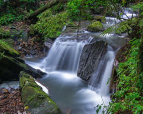 Картинка el yunque national forest puerto rico природа водопады национальный заповедник эль юнке пуэрто-рико лес камни