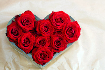 Картинка цветы розы красный сердце