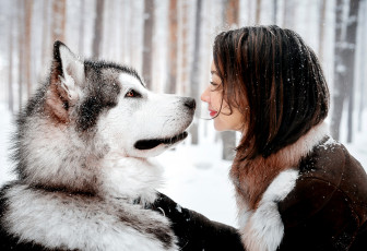 Картинка девушки -unsort+ брюнетки +шатенки собака зима девушка