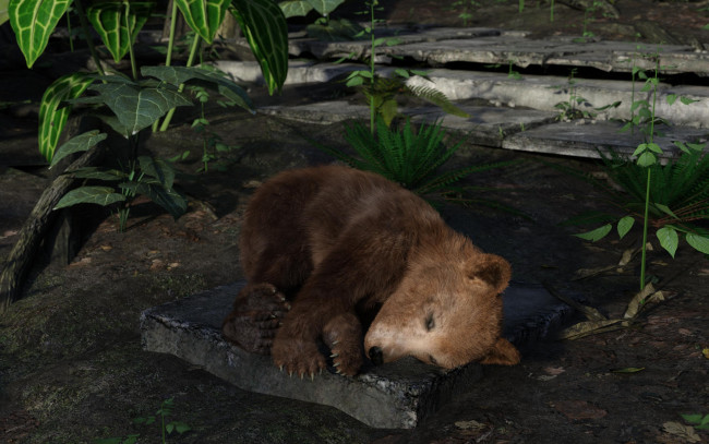 Обои картинки фото 3д графика, животные , animals, медвежонок, фон