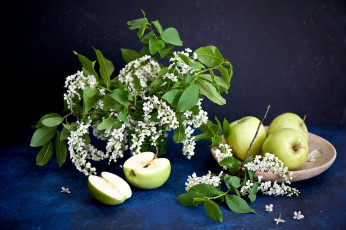 Картинка еда Яблоки черемуха яблоки зеленые