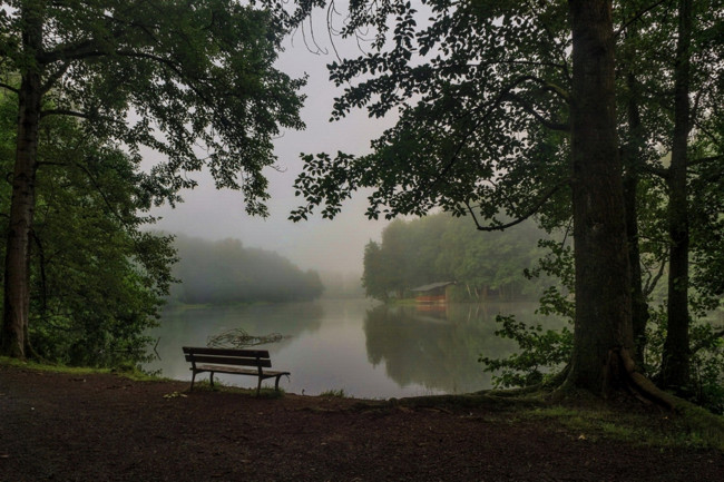 Обои картинки фото природа, реки, озера, утро, лавочка, водоем, озеро
