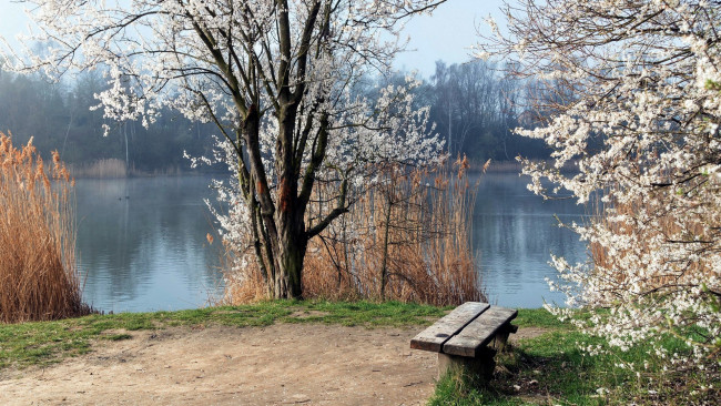 Обои картинки фото природа, реки, озера, скамейка, река, весна, деревья