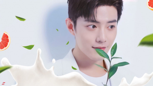 Обои картинки фото мужчины, xiao zhan, актер, листья, ветка, грейпфрут