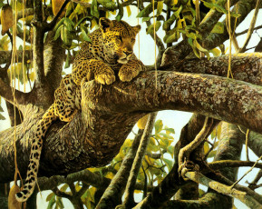 обоя рисованное, животные,  ягуары,  леопарды, леопард, ветки, джунгли, деревья